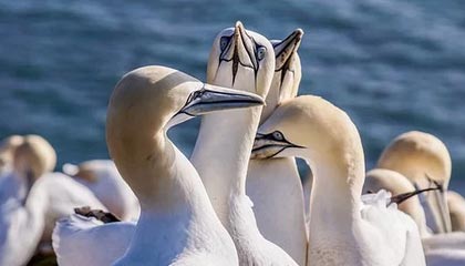 九游app下载中心-中国足球国际合作不断深化，推动青训输出与交流，中国足球青训体系是什么