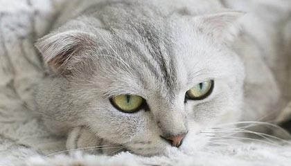 九游app下载中心-中国足球国际合作不断深化，推动青训输出与交流，中国足球青训体系是什么