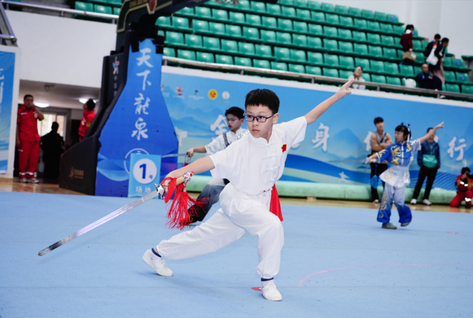 传统武术表演比赛，文化与运动的完美融合的简单介绍