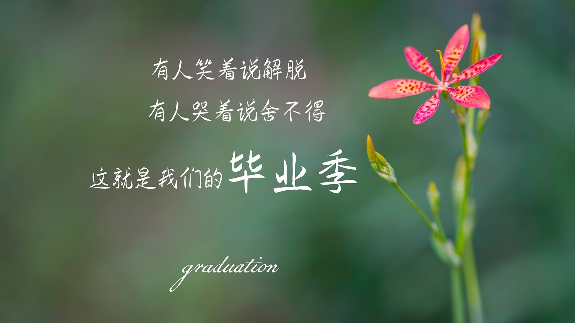 全明星票选首轮公布，库里继续领跑后场票数，全明星赛库里得分