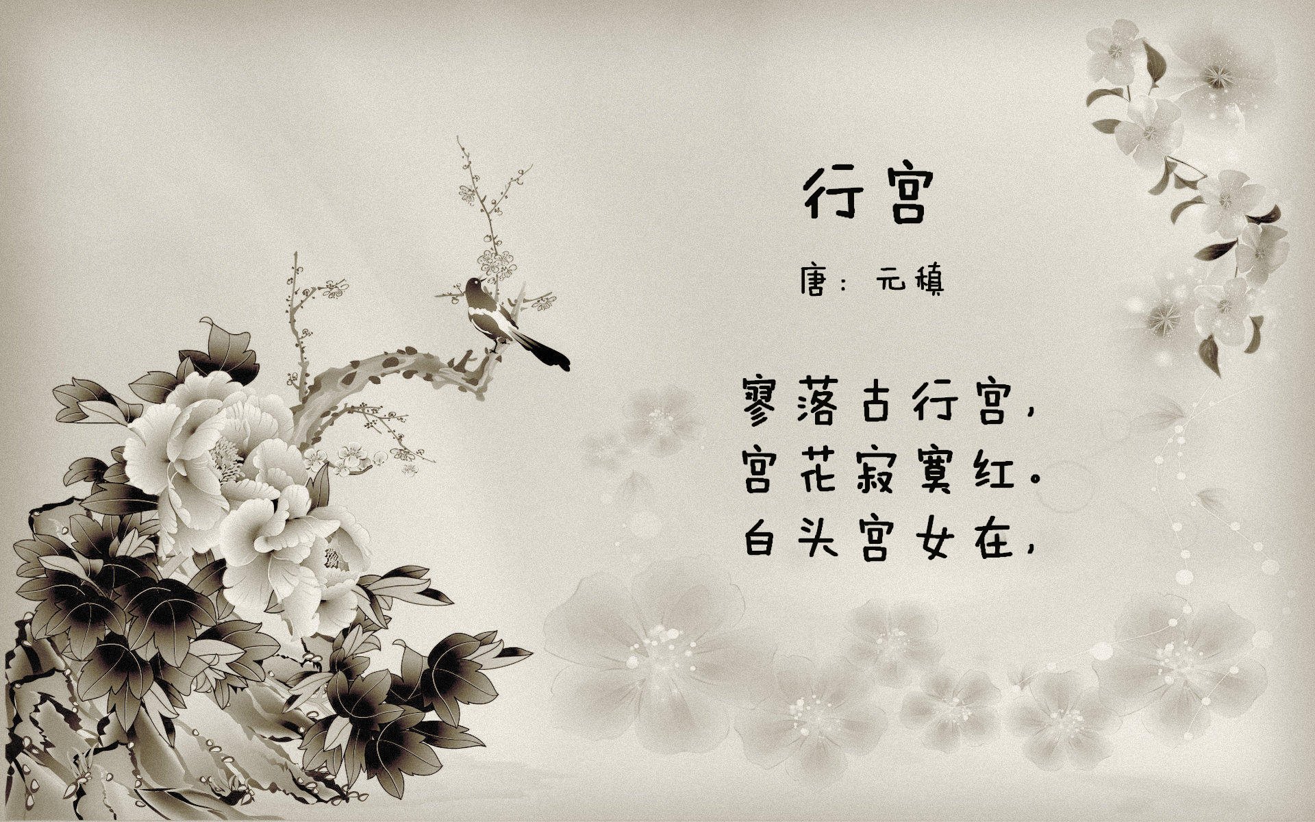 未来“足球精英”闪耀欧冠，明日之星崭露头角，精英未来足球俱乐部