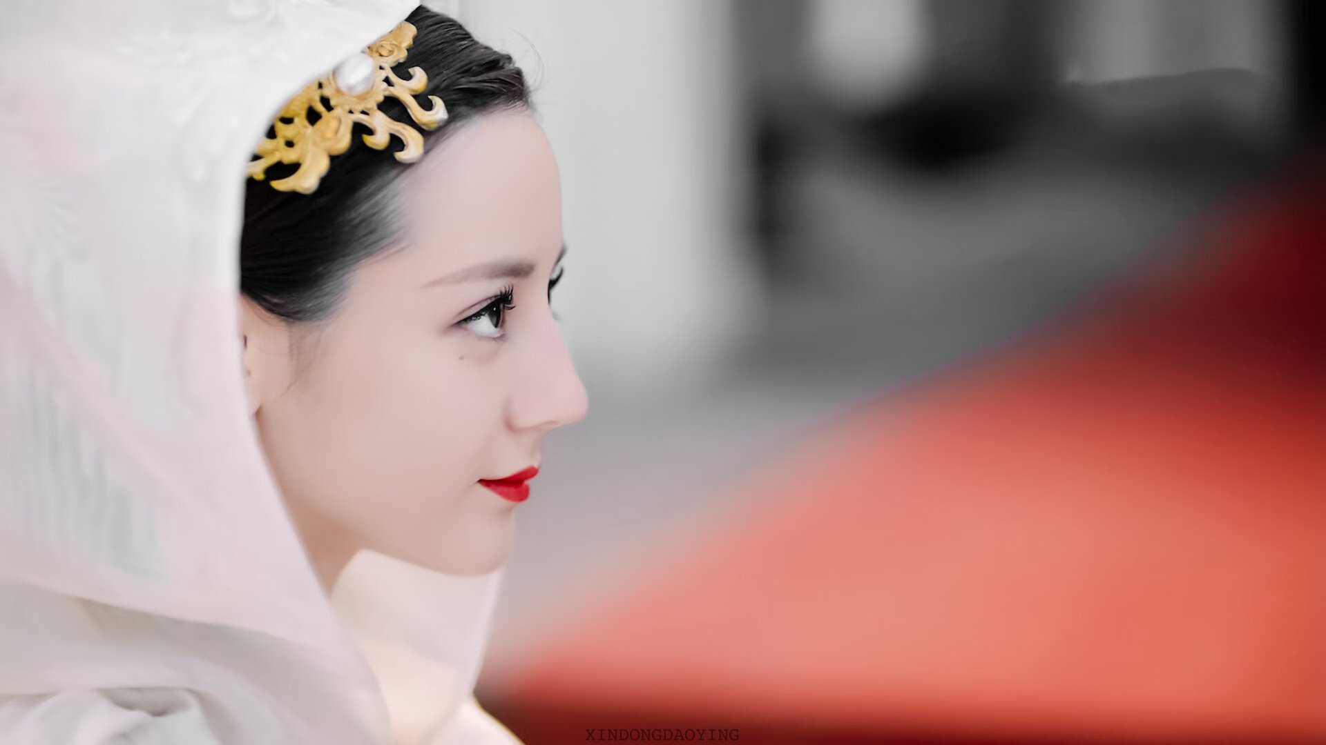 九游下载安装-海底潜水摄影争霸，展现深海美丽风光，海底潜水照片