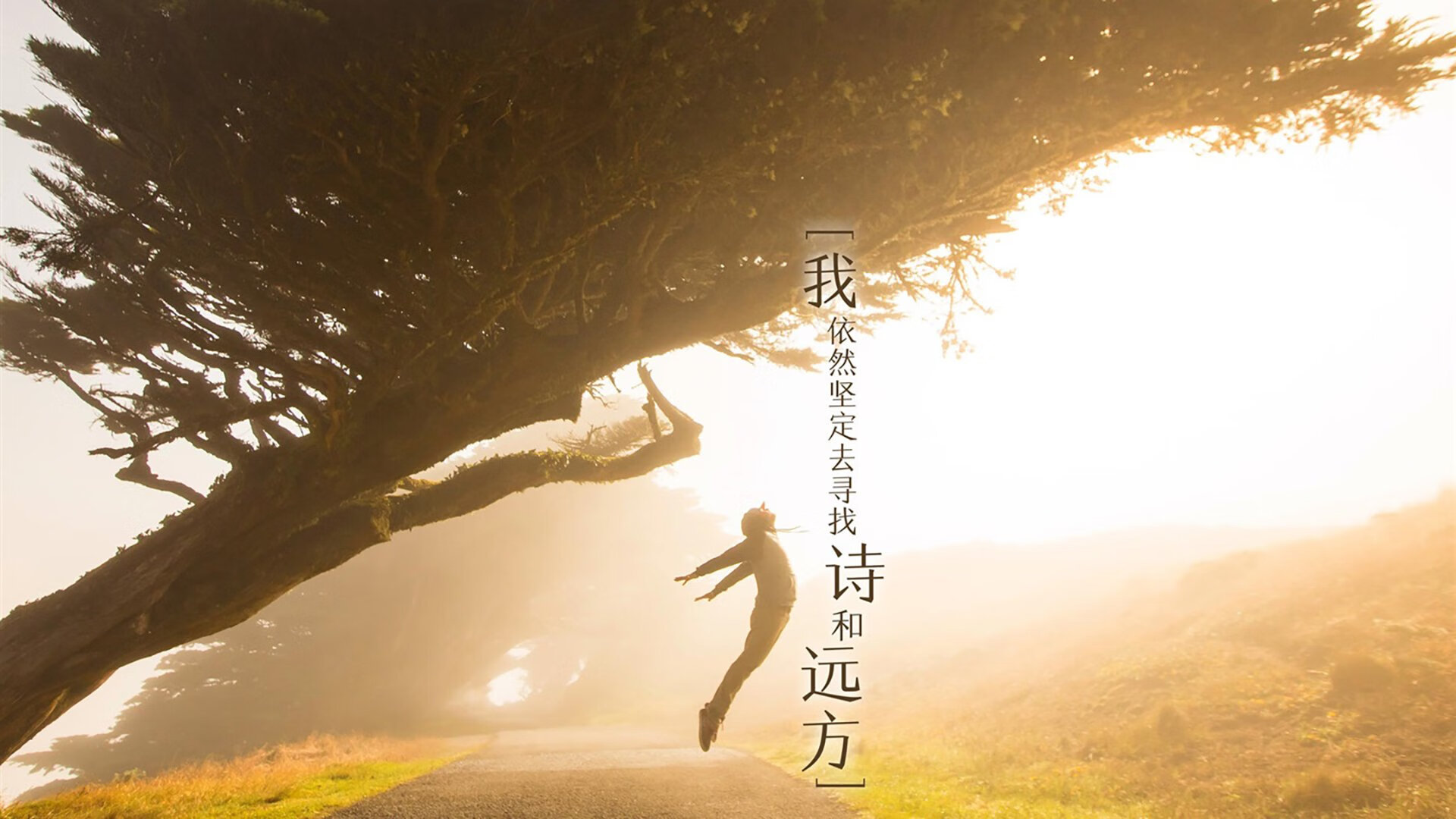 九游-葡萄牙骑手吉尔贝托·费利佩在2024年全国工作马术锦标赛中获得大师组铜牌，表现出色。
