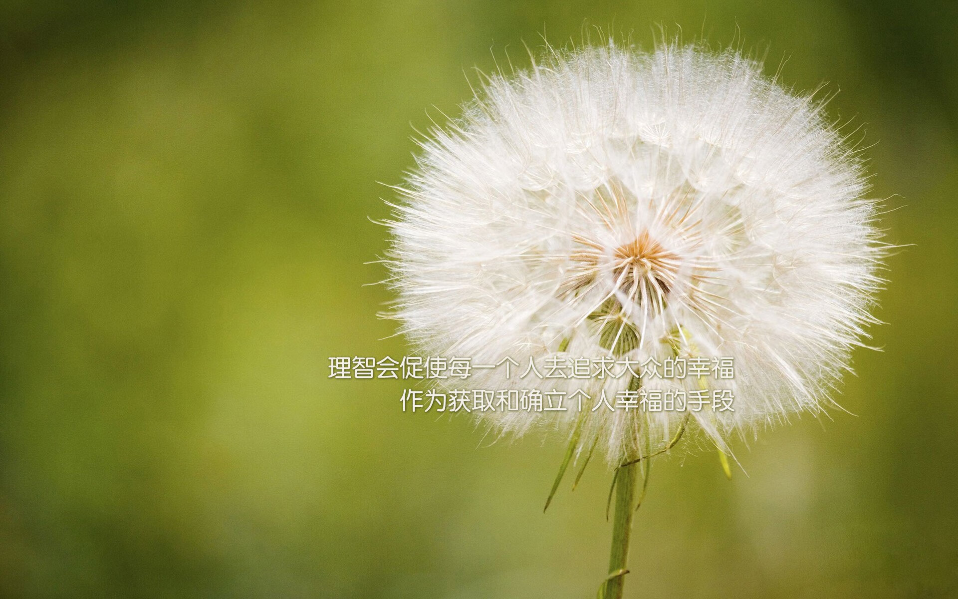 接力战术布置合理 美队轻松应战，美国队接力重赛